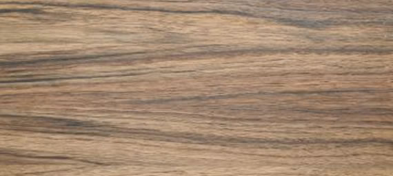 zamów próbki - Orzech europejski