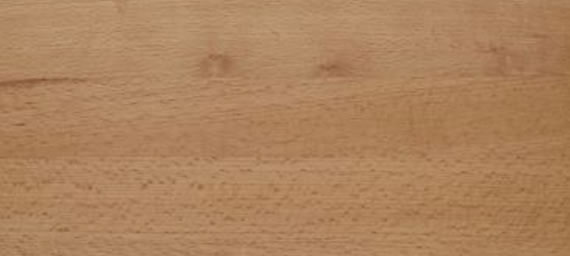 zamów próbki - Buk